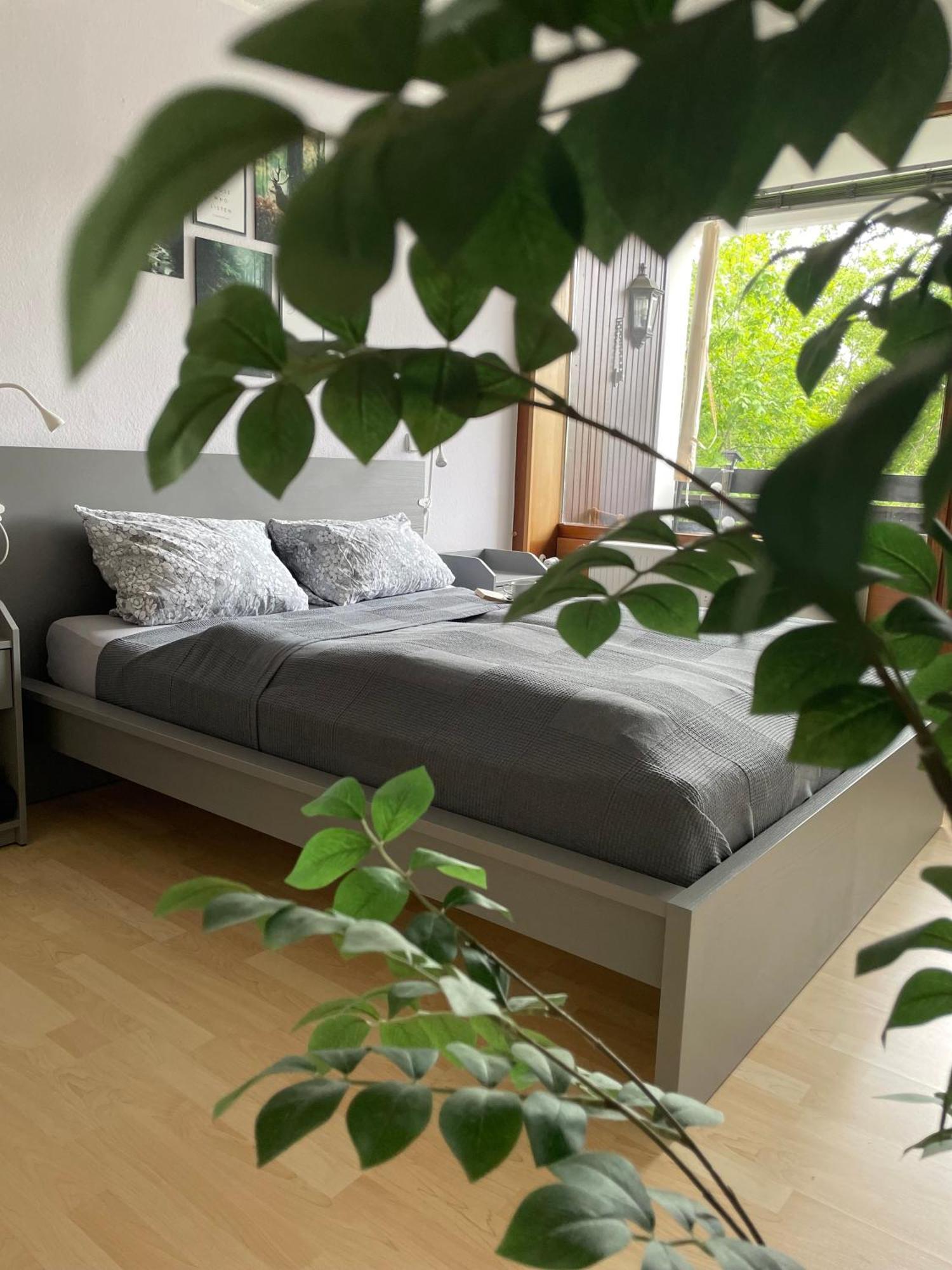 Ferienwohnung In Freudenstadt-Kniebis II Экстерьер фото